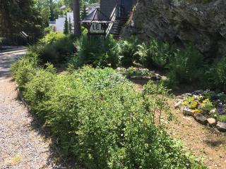 Studio 12 - Han-sur-Lesse - 3