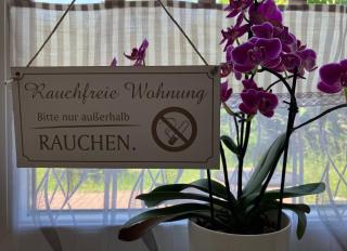 Ferienwohnung im Moselland - Maring-Noviand - 5