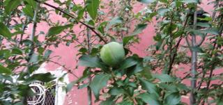 Sejour Confortable avec Belle Vue - 8