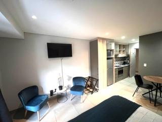 Modern Apartment in Stellenbosch - 1