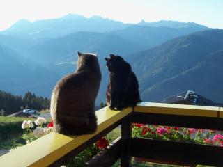 Le Chalet de Bisanne - Les Saisies - 5