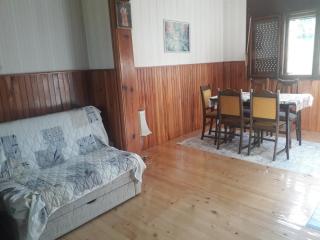 Vila Trtović - Nova Varoš - 6