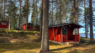 Kyyjärvi Camping Oy - Metsäpelto - 6