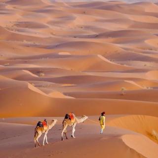 Allinone luxury camp - Merzouga - 2