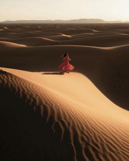 Allinone luxury camp - 2