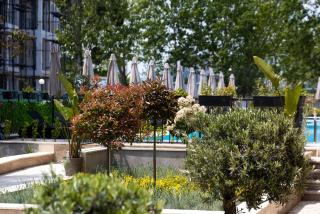 Emilia Romana Park - Sunny Beach - 8