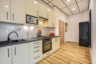 Apartamenty w Bieszczadzkim Horyzoncie - Ustrzyki Dolne - 8
