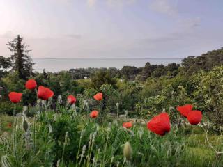 Holiday home in Balatongyörök 43114 - Balatongyörök - 4