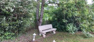 Albi à proximité, maison d'hotes les oliviers - 5