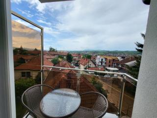 Vila Pčelica Petra - Sokobanja - 5