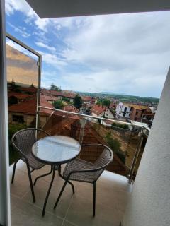 Vila Pčelica Petra - Sokobanja - 3