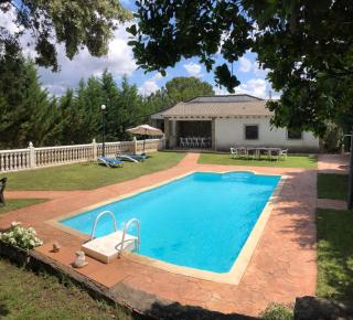 El Magnolio - 6