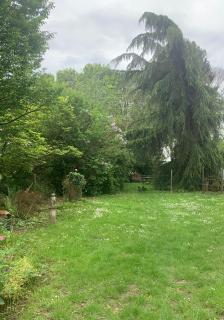 Dépendance dans le jardin - 3