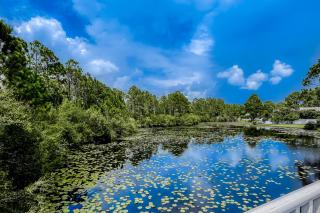 Seagrove Highlands 2205 - Santa Rosa Beach - 7