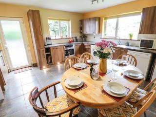 Ballaghboy Cottage - Boyle - 5