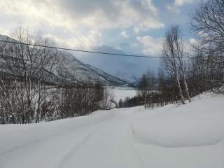 极光民宿Northern Lights - Laksvatn - 8