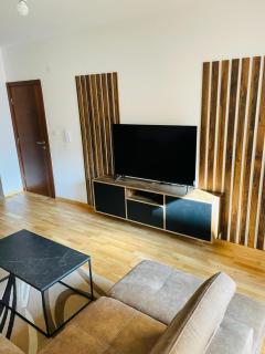 RB De lux apartment - Podgorica - 7