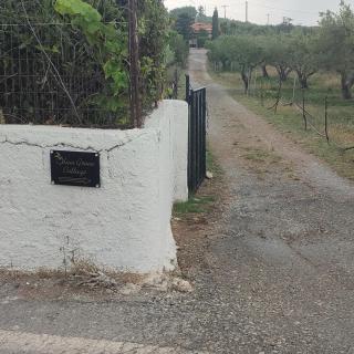 Olive Grove Cottage Skalani - 3