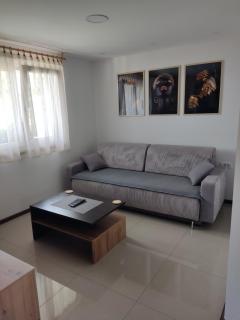Apartmani SLADJANA - Novi Sad - 6
