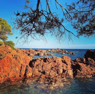 Floramarine - Saint-Raphaël - 9