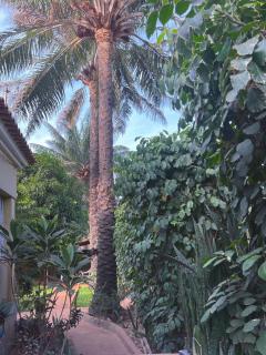 Bissau Homestay - 2