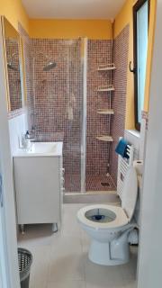Pomiculturii Residence 9 - Timişoara - 5