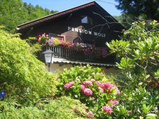 Pension Wolf - Steindorf am Ossiacher See - 0