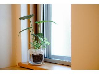 Tottori Guest House Miraie BASE - Vacation STAY 41202v - Tottori - 2