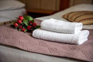 Hotel pod Wierzba - Świdnica - 0