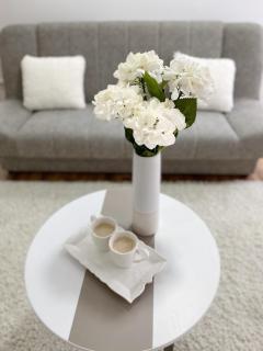 La Perla Apartman - Vrnjačka Banja - 9