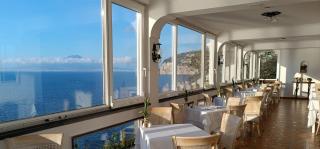 Hotel Villa Garden - Sant'Agnello - 9