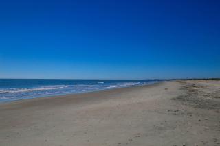 Love Blooms Here - Isle of Palms - 5