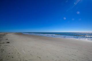 Love Blooms Here - Isle of Palms - 3