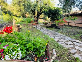Le Casette di Nino - Marina di Camerota - 3