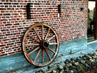 Burgemeestershof - Wetteren - 7