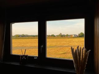 Burgemeestershof - Wetteren - 1