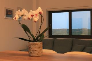 Cream Cozy Getaway - 3 Pearls Pool Retreat - Dhémbla - 5
