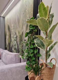 Apartament Proszowska 58A, Bochnia, 40 m2 z prywatnym miejscem postojowym - Bochnia - 4
