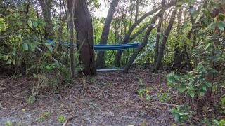 Your Manatee and Scalloping Adventure Retreat - Crystal River - 1