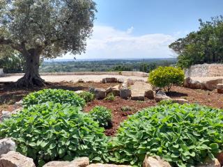 Dimora Verde B con trullo Masseria Poesia - 7