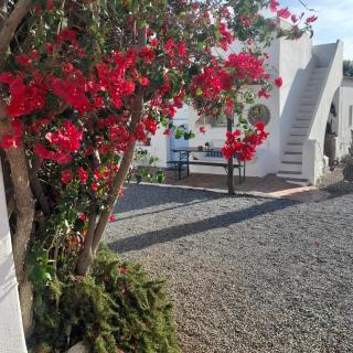 Monte da Lagoa - Altura - 6
