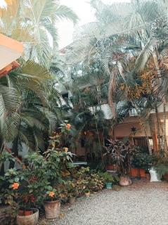 Hotel Villa Tulipanes - Zihuatanejo - 0