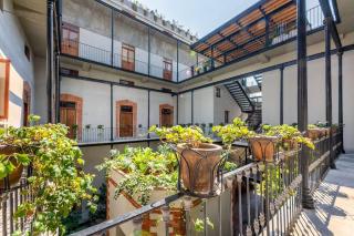 Magnificient downtown apartment - Ciudad de México - 5