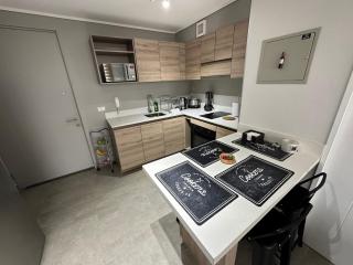 Hermoso departamento full equipado centro de Temuco - Temuco - 1