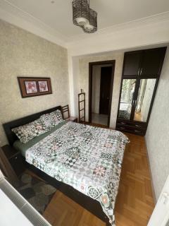 Superior Mziuri Apartment - Tbilisi - 8