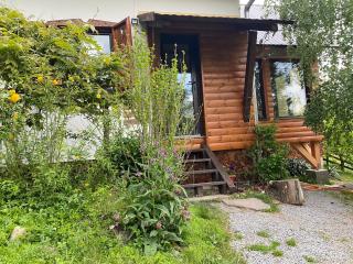 Chalet Mignon - Aproka adorable small guest house - Sicasău - 8