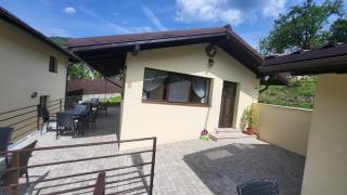 Noblesse Caciulata - 4