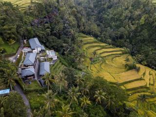 Suarapura Resort & Spa - Tegalalang - 0