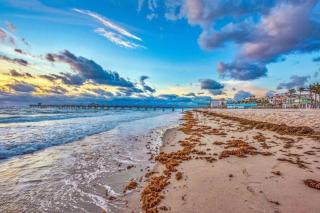 Deerfield Retreat! Walk to the Beach! Sleeps 8! - Deerfield Beach - 1
