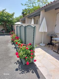 L'insulaire Studios - Saint-Denis-dʼOléron - 5